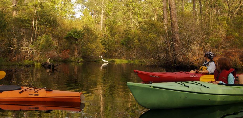 Outer Banks Kayak Tours • #1 Rated • National Geographic Top Adventure