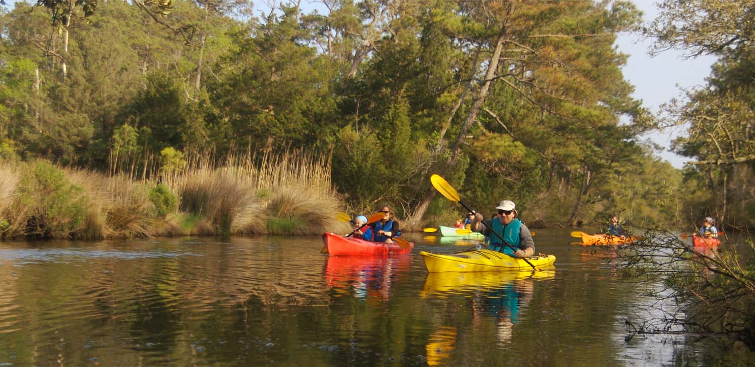 Outer Banks Kayak Tours • 1 Rated • National Geographic Top Adventure