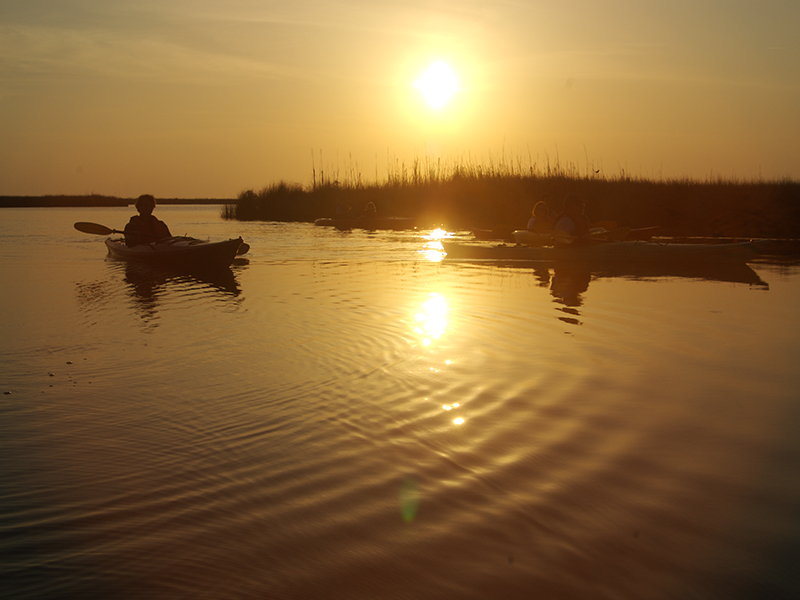 KittyHawkBayMarshKayak1 Outer Banks Kayak Tours