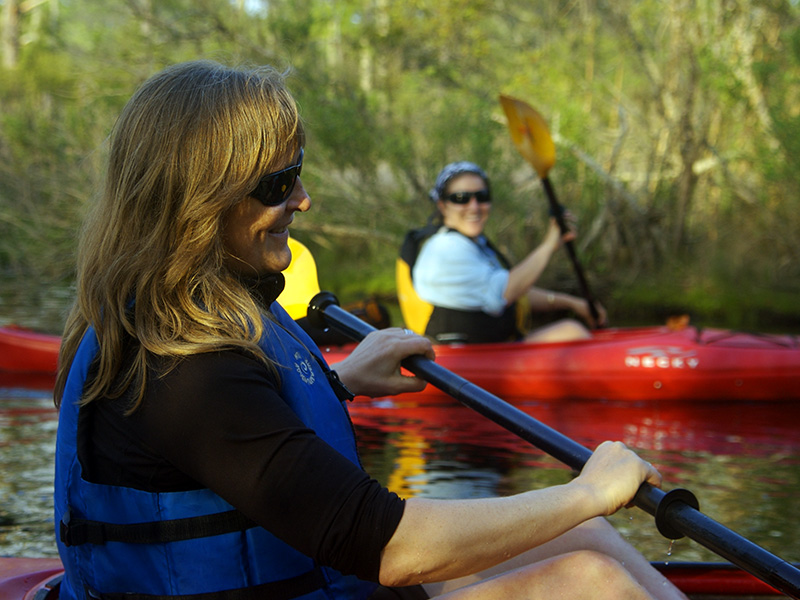 KittyHawkMaritimeForestMarshKayak4 Outer Banks Kayak Tours