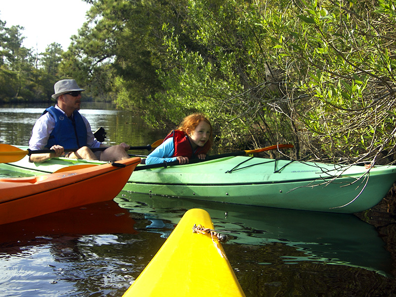 KittyHawkMaritimeForestMarshKayak5 Outer Banks Kayak Tours