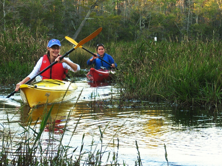 Alligator River Kayak Tours 1 Rated Tour by Coastal Kayak