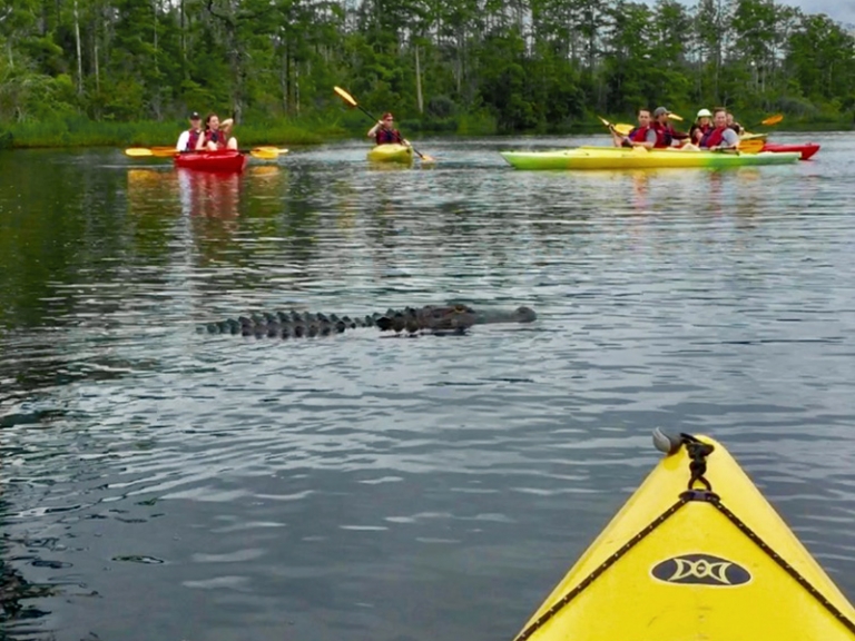 Outer Banks Kayak & SUP Tours • Nat Geo's Top Adventures 1 Rated