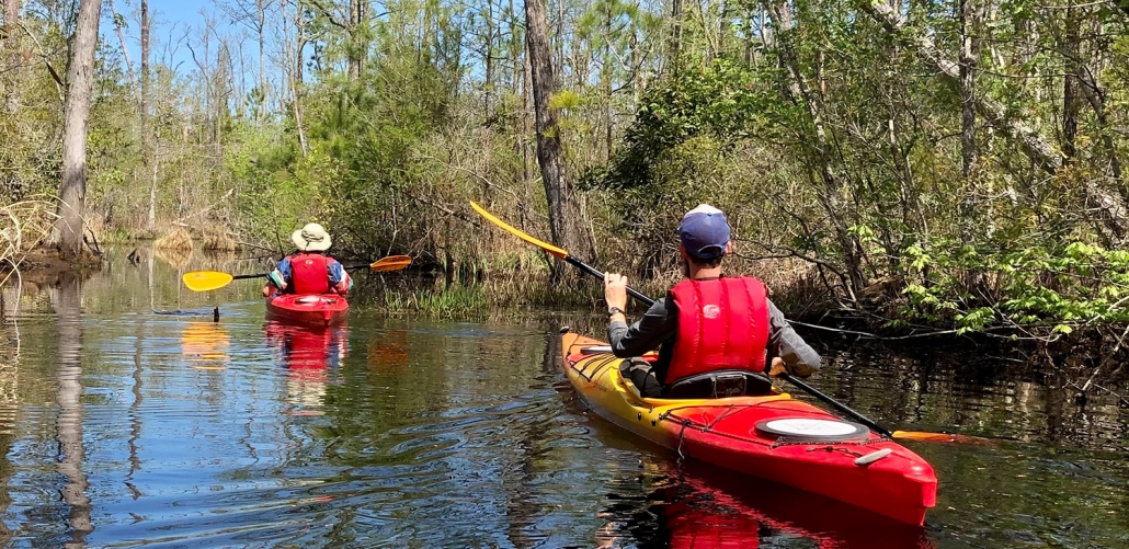 Outer Banks Kayak Tours • 1 Rated • National Geographic Top Adventure